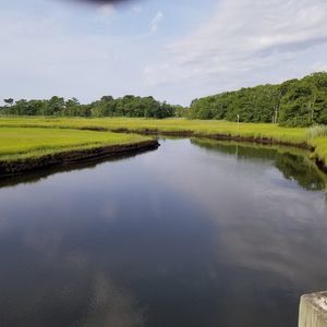 Meet your Posher, Josh